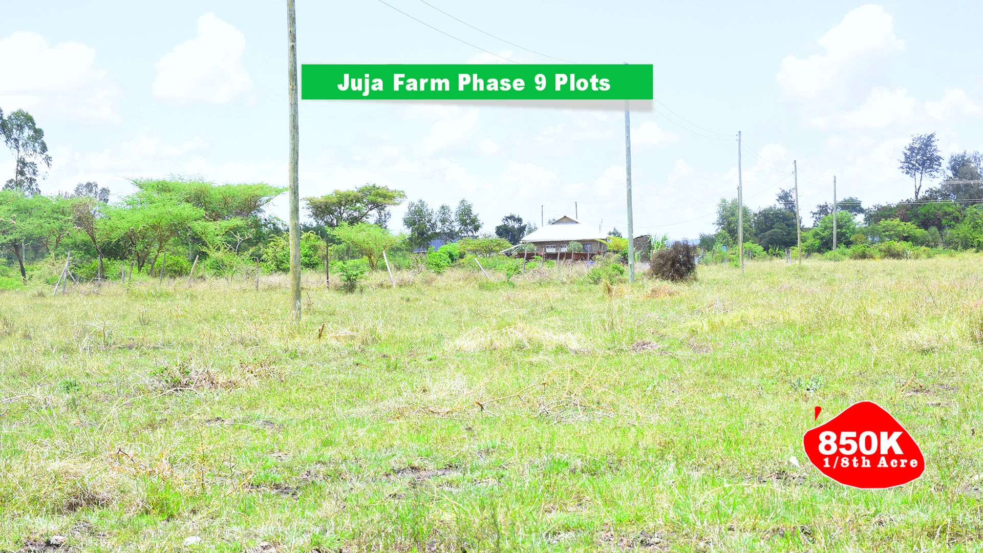 JUJA FARM - PHASE 9