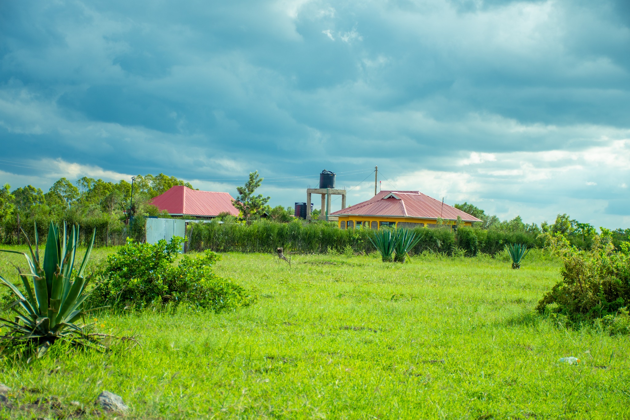 Land buying and selling services in Kenya