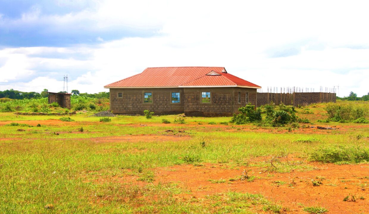 JUJA MEADOWS