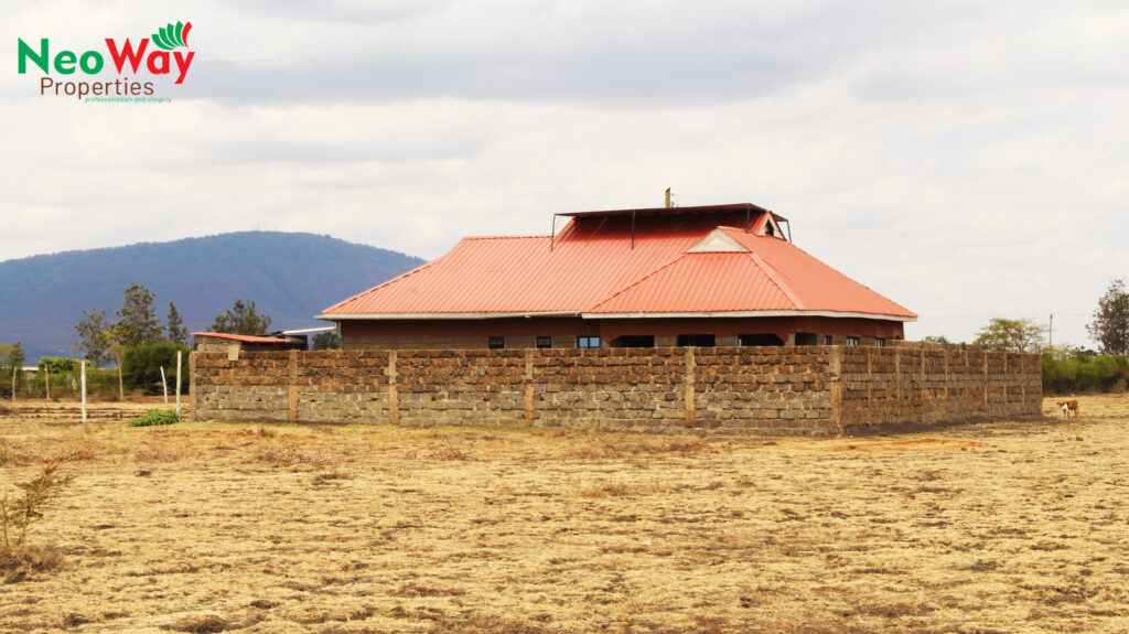 JUJA MEADOWS