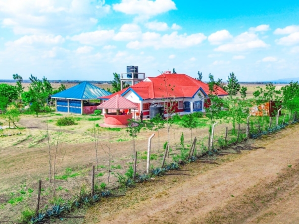 Juja Farm