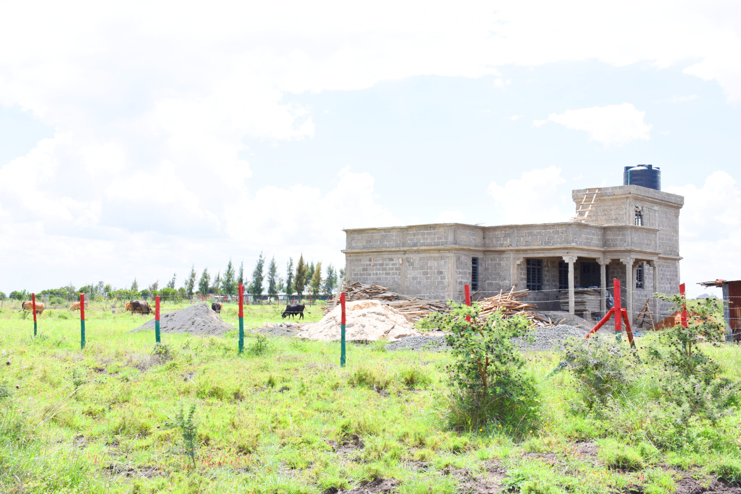 Mwalimu Farm - Sunrise Garden
