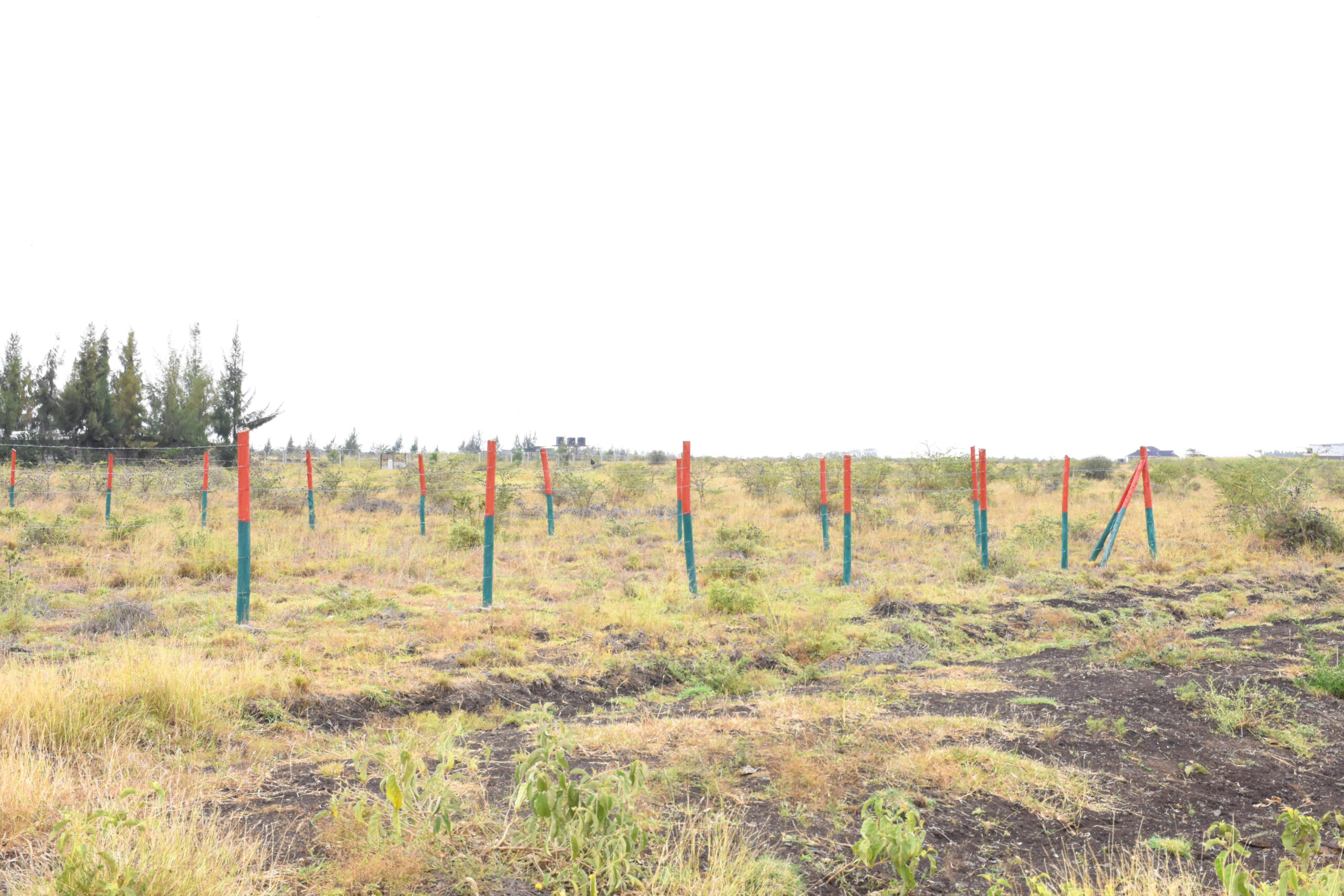 SUNRISE GARDEN - Mwalimu Farm