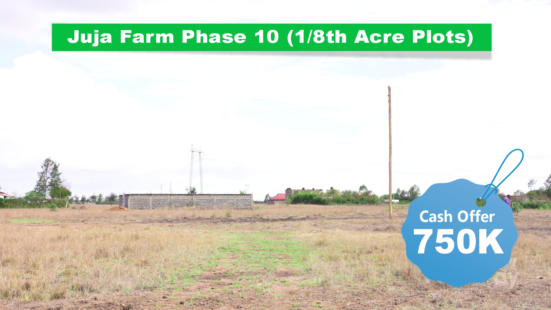 JUJA FARM - PHASE 10