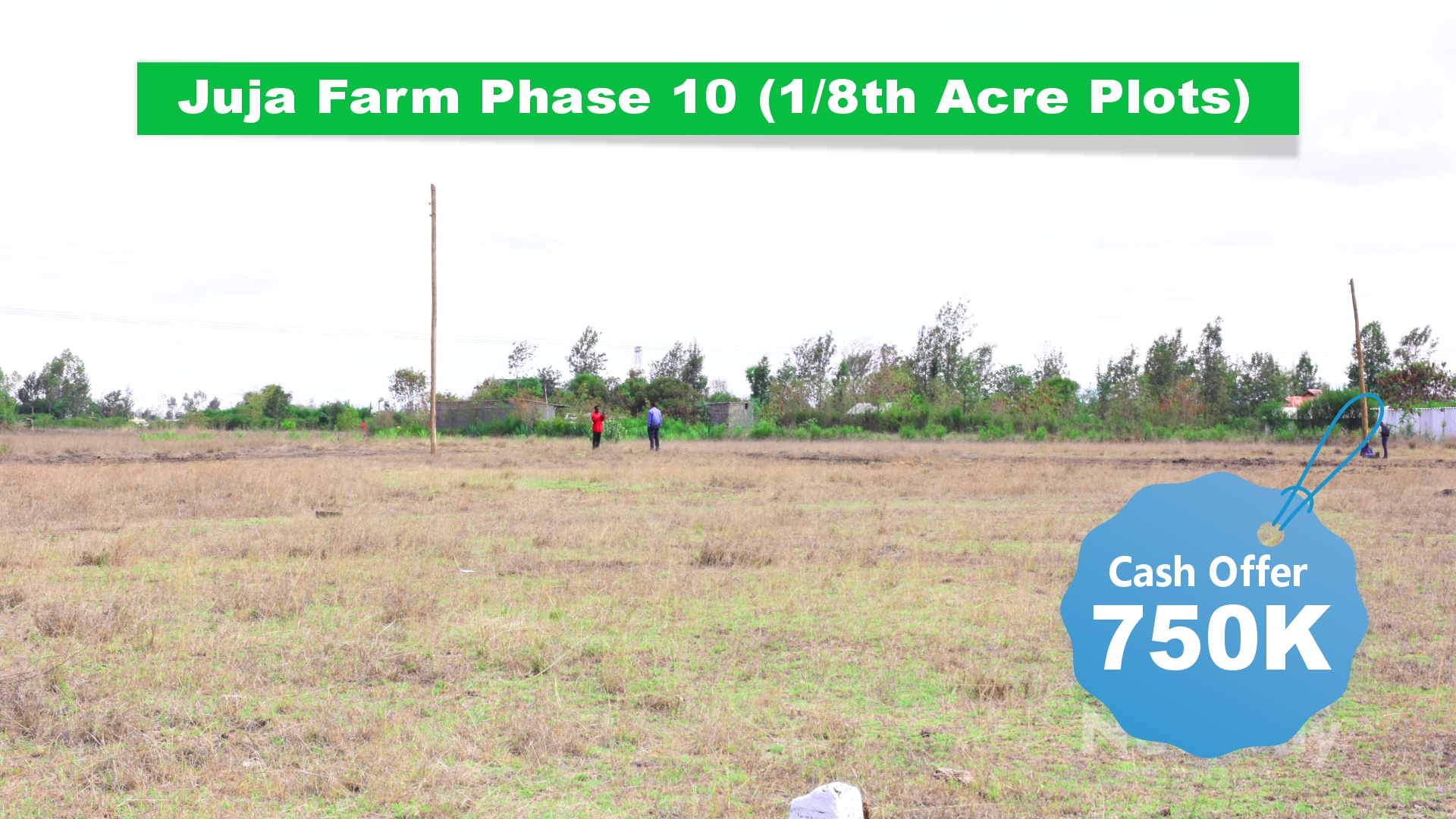JUJA FARM - PHASE 10
