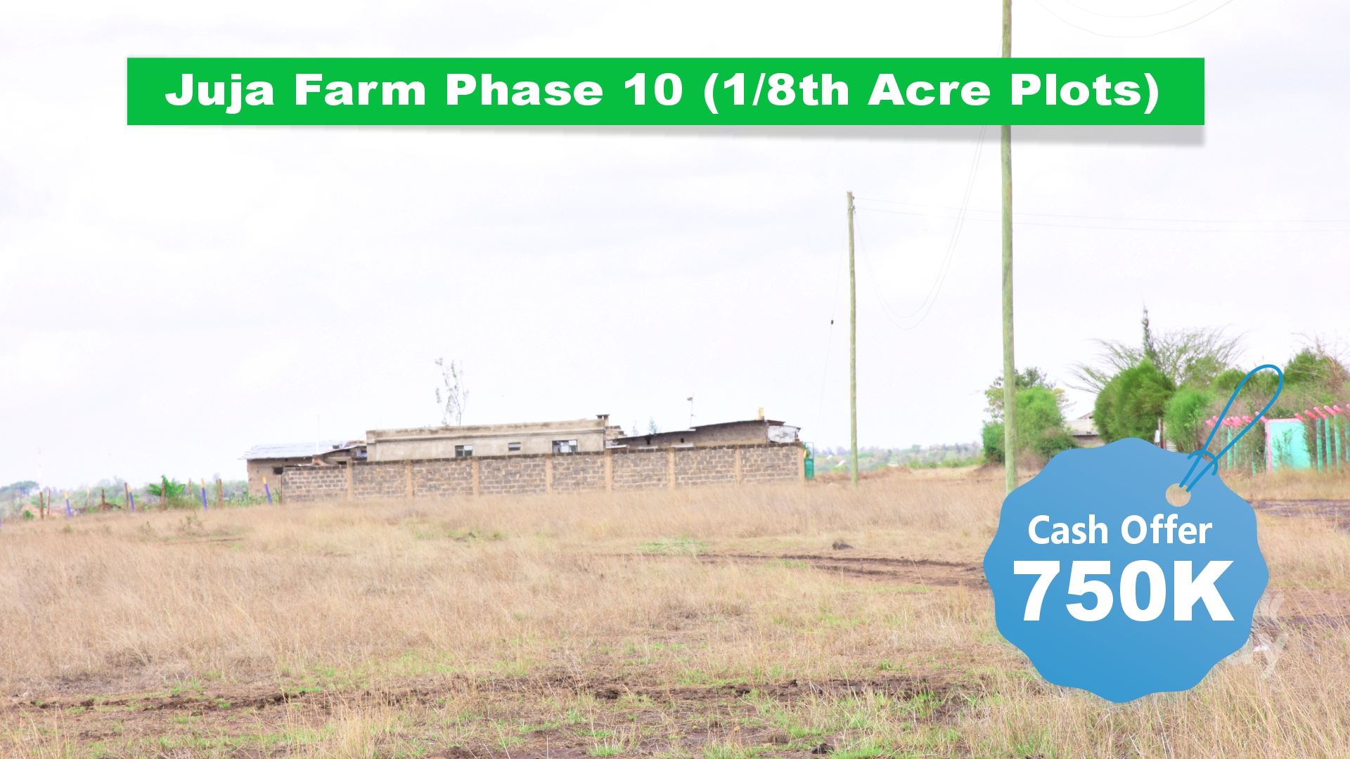 JUJA FARM - PHASE 10
