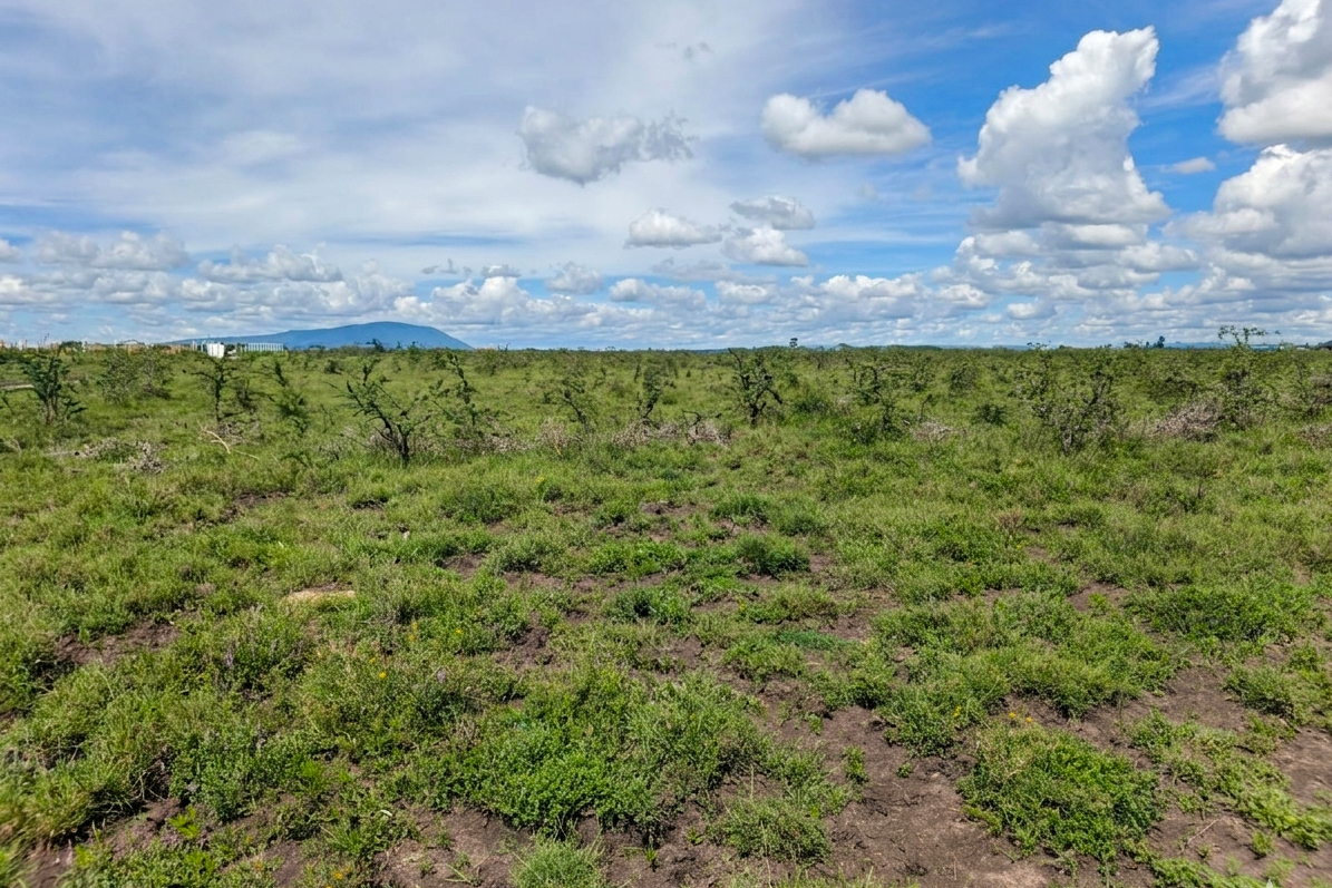 MWALIMU FARM PHASE 5