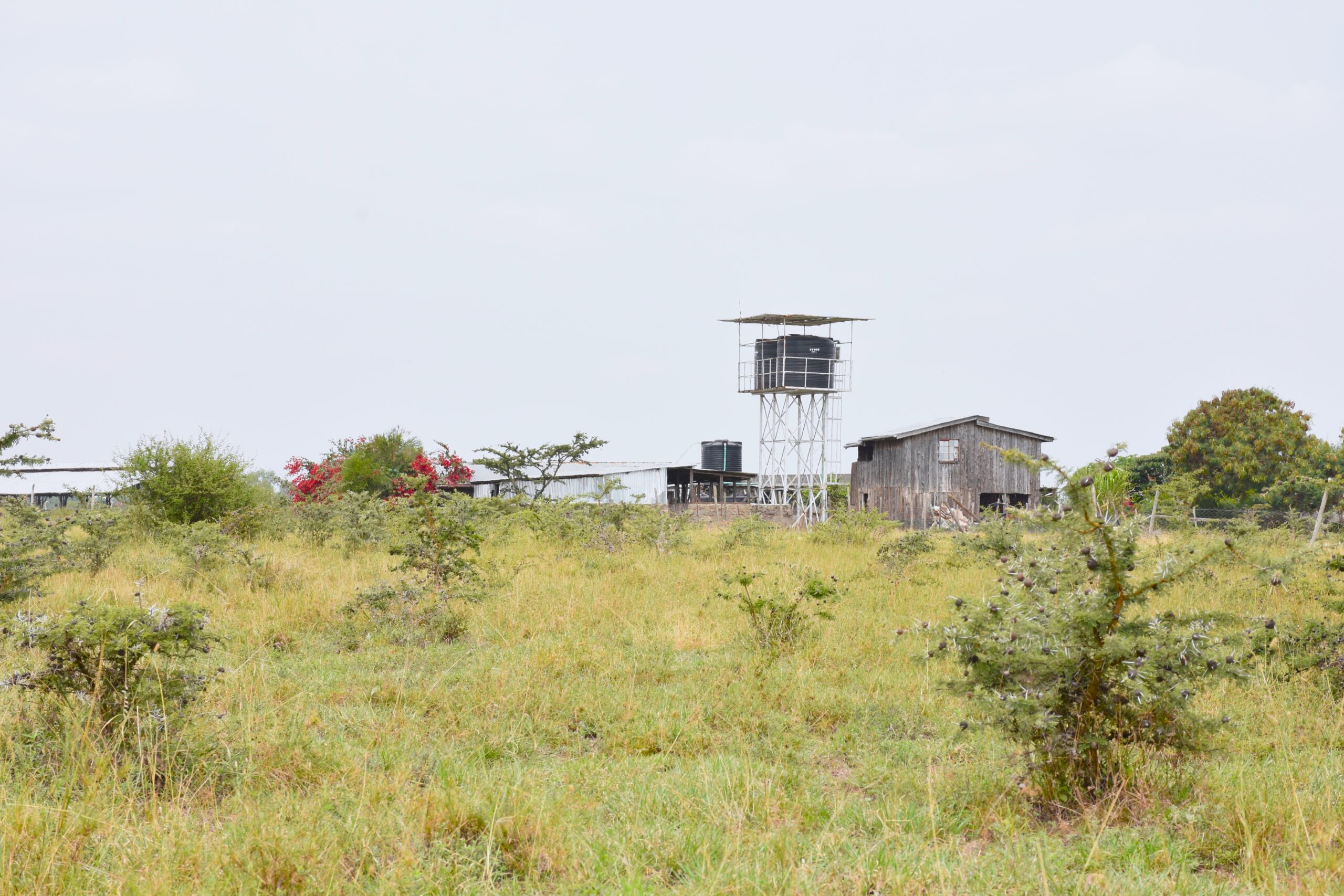 MWALIMU FARM PHASE 7