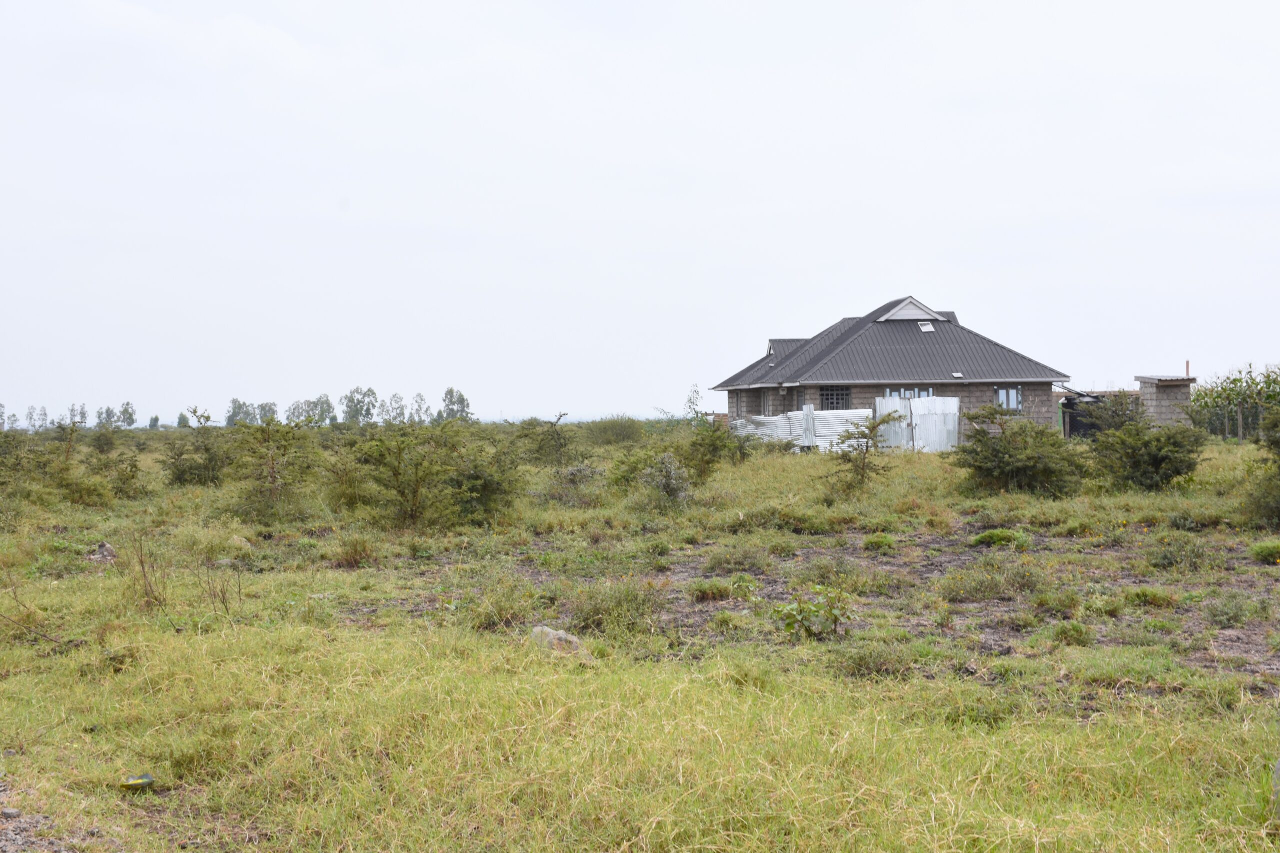 MWALIMU FARM PHASE 7