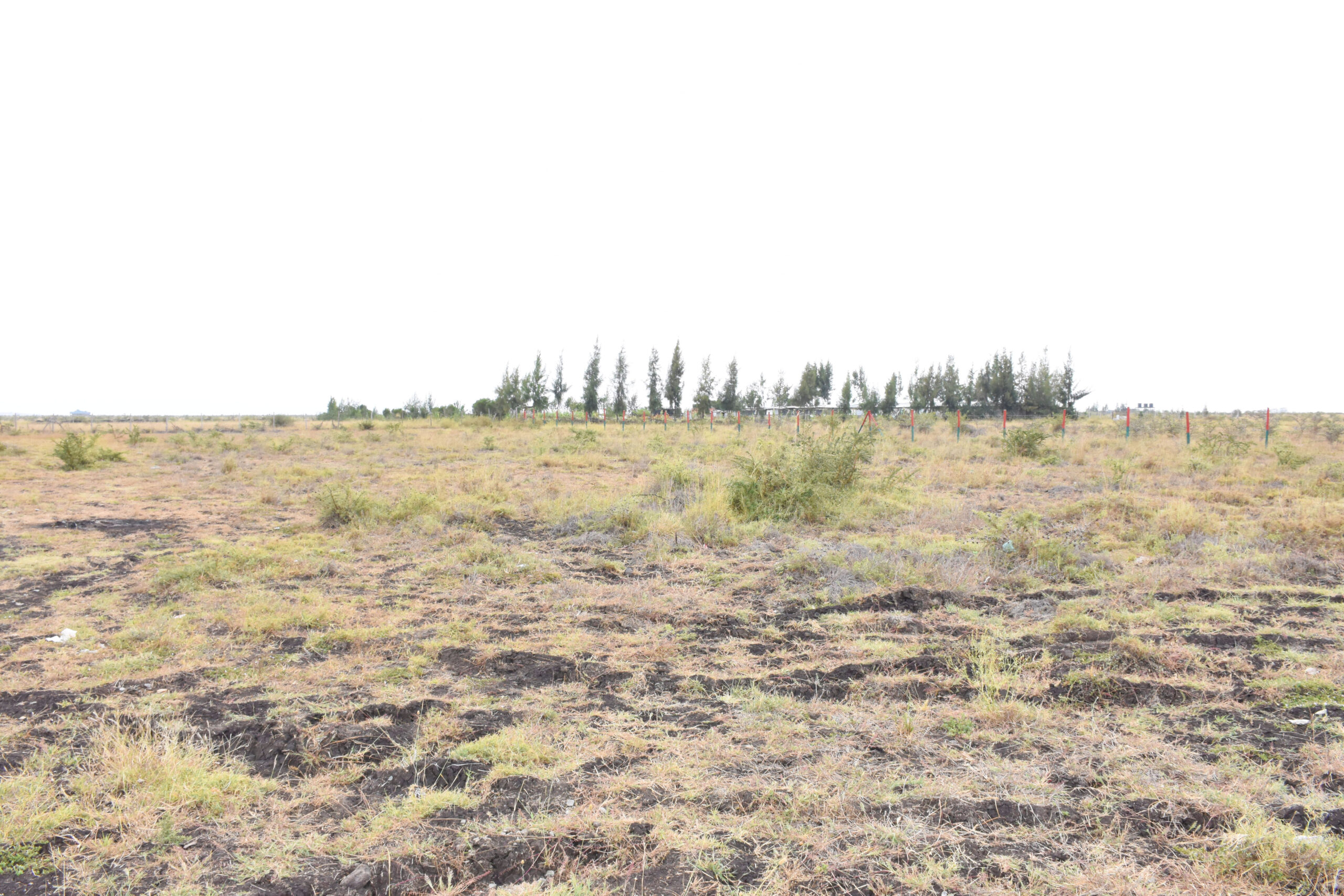 Mwalimu Farm Phase 7