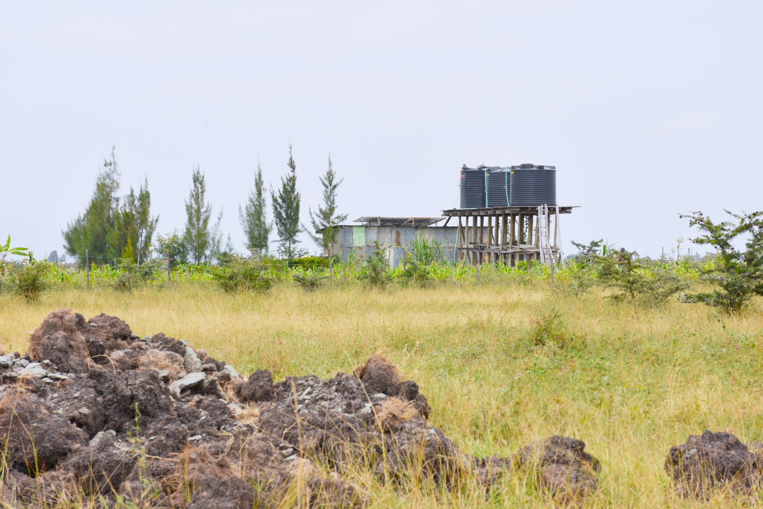 Mwalimu Farm Phase 7